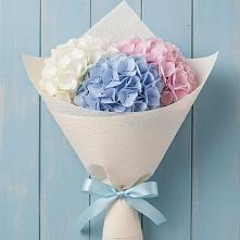 Букет цветов из:  Гортензия в Бакшеево