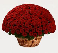 Премиум букет из: Розы в Бакшеево
