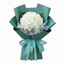 Букет цветов из:  Гортензия #REPLACE_PRED# Бакшеево